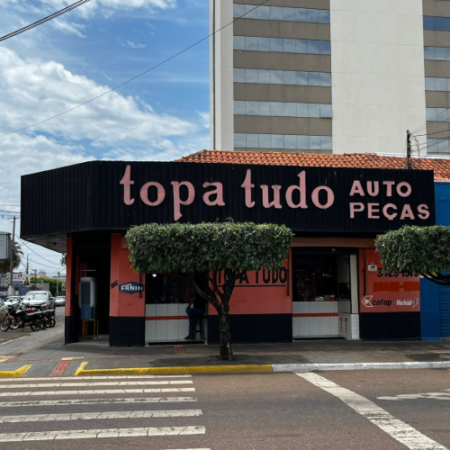 Logo TOPA TUDO AUTO PECAS